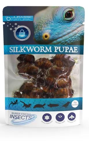 SILKWORM PUPAE 15G