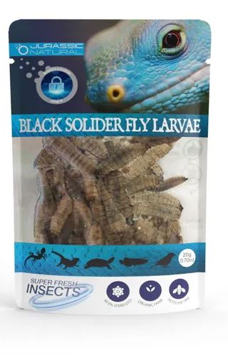 BLACK SOLDIER FLY 20G