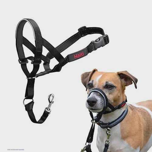 HALTI HEADCOLLAR TRAINING SIZE 1