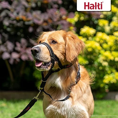 HALTI HEADCOLLAR SIZE 1