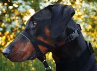 HALTI HEAD COLLAR SIZE 2