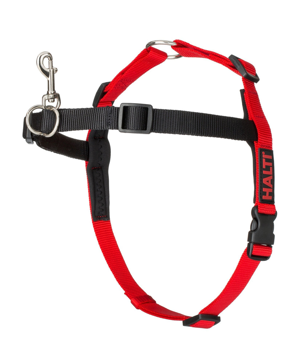 HALTI FRONT CONTROL HARNESS SMALL