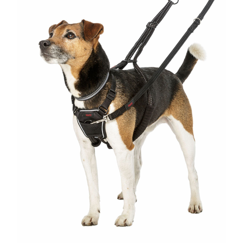 HALTI NO-PULL HARNESS S