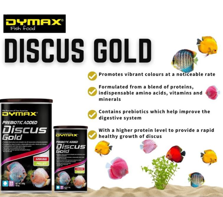 DYMAX DISCUS GOLD 170G SINKING PELLET