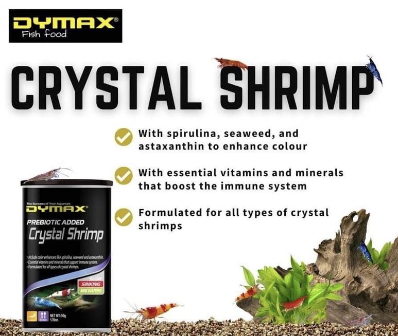 DYMAX CRYSTAL SHRIMP 50G