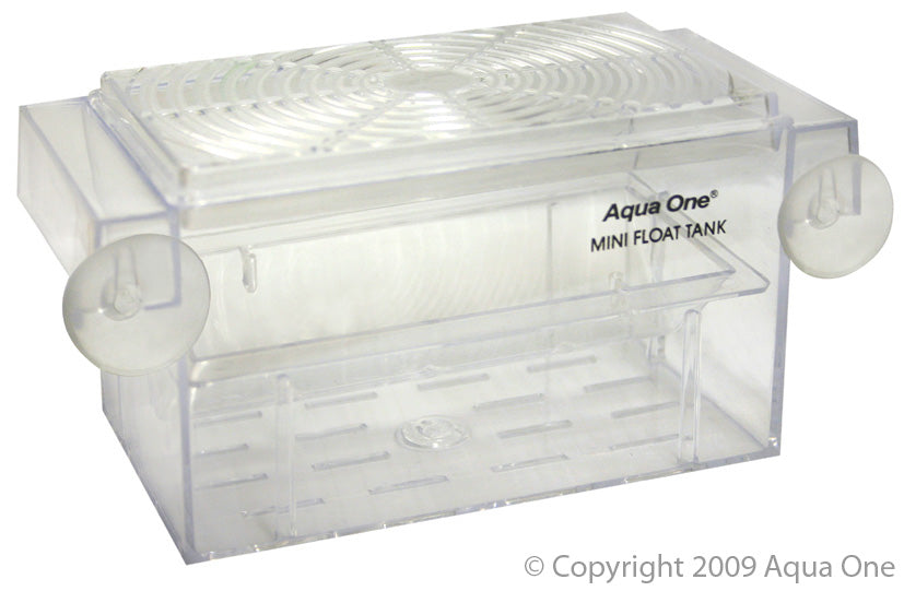 AQUA ONE MINI FLOAT GUPPY TANK