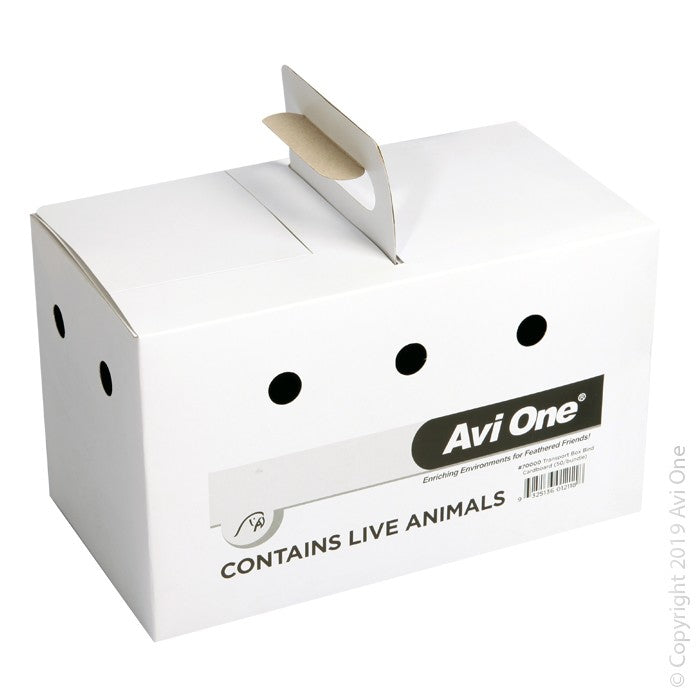 AVI ONE TRANSPORT BOX M