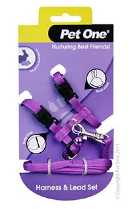 PET ONE LEASH & HARNESS PURPLE