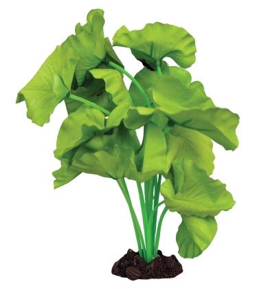 SILK PLANT TIGER LOTUS GREEN MD