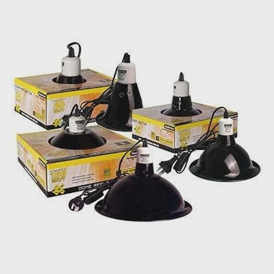 REPTILE ONE CERAMIC DOME REFLECTOR 50 W MAX