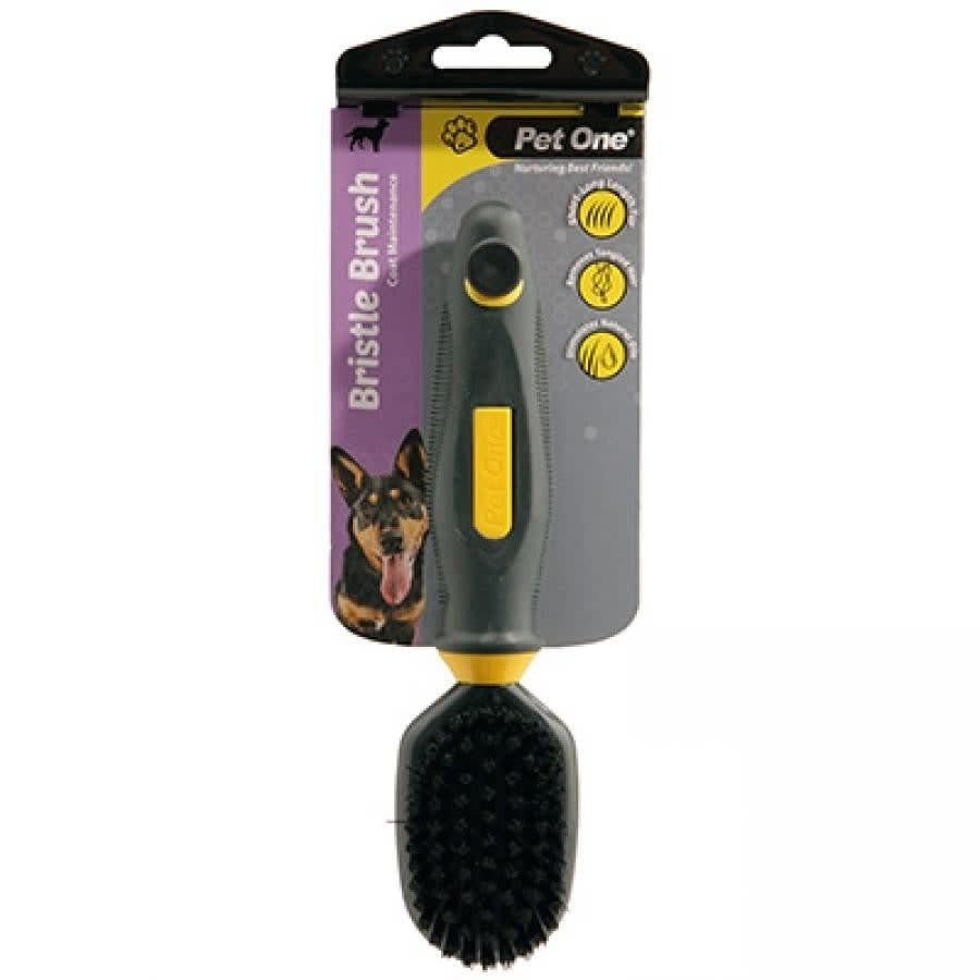 PET ONE Small Dog Bristle Brush Stimulated & Massages Skin - Smooth Coat 