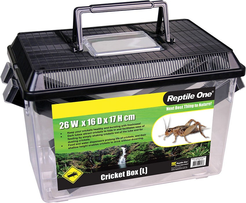 REPTILE ONE CRICKET BOX L