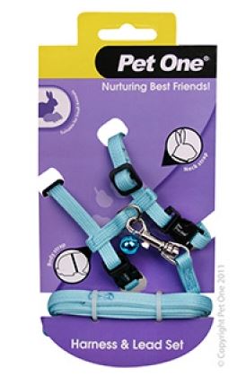 PET ONE LEASH & HARNESS AQUA