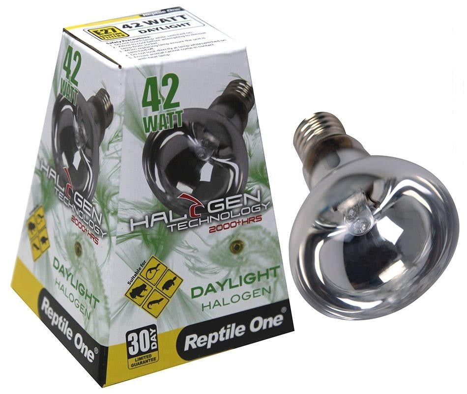 Reptile One 42 Watt Halogen Daylight Heat Globe Bulb Lamp Eqv 60W Eddison