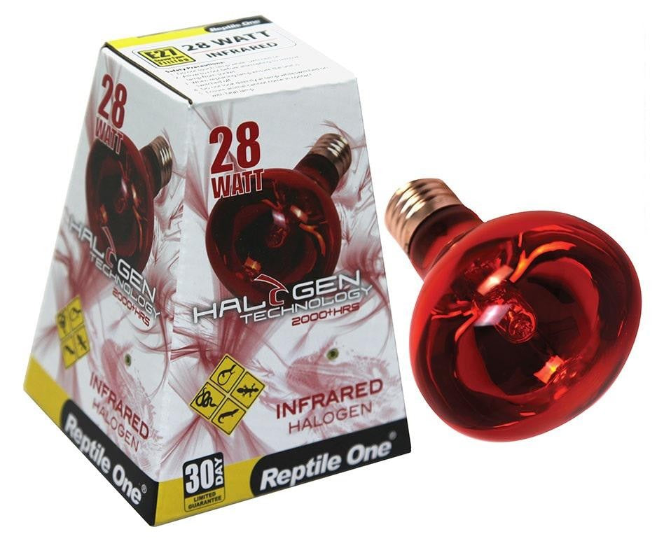 Reptile One 28 Watt Infrared Heat Globe Bulb Lamp Eqv 40W Eddison Snake, Lizard