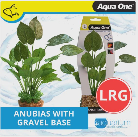 AQUA ONE ANUBIAS WITH GRAVEL BASE L