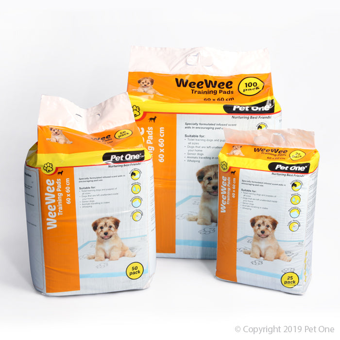 WEEWEE TRAINING PAD 60X60CM 25 PACK