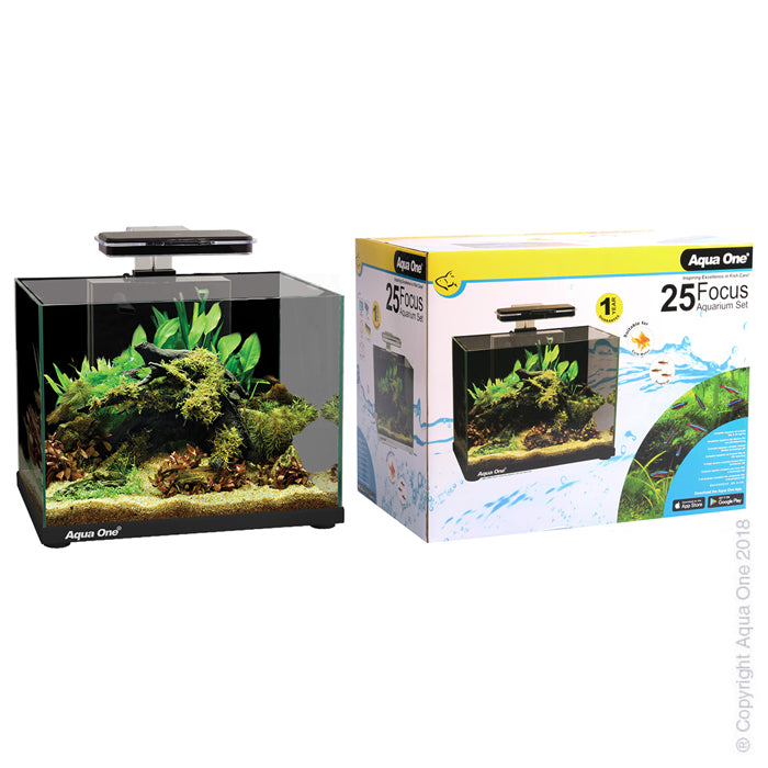 AQUA ONE FOCUS 25L TANK