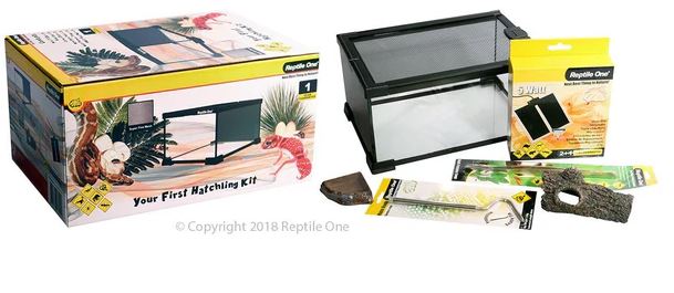 REPTILE ONE YOUR FIRST HATCHLING KIT