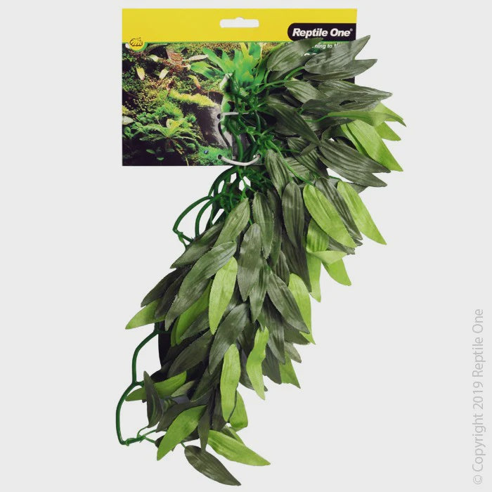 REPTILE ONE TRADESCANTIA CASCADING PLANT 40CM