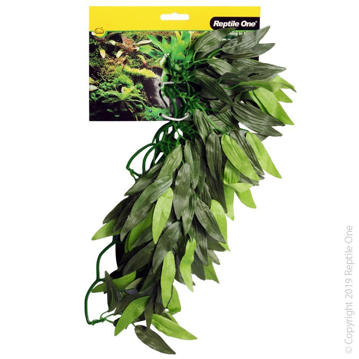 REPTILE ONE TRADESCANTIA CASCADING PLANT 40CM