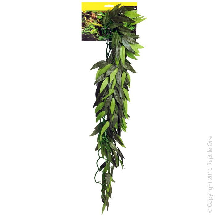 REPTILE ONE TRADESCANTIA CASCADING 72CM