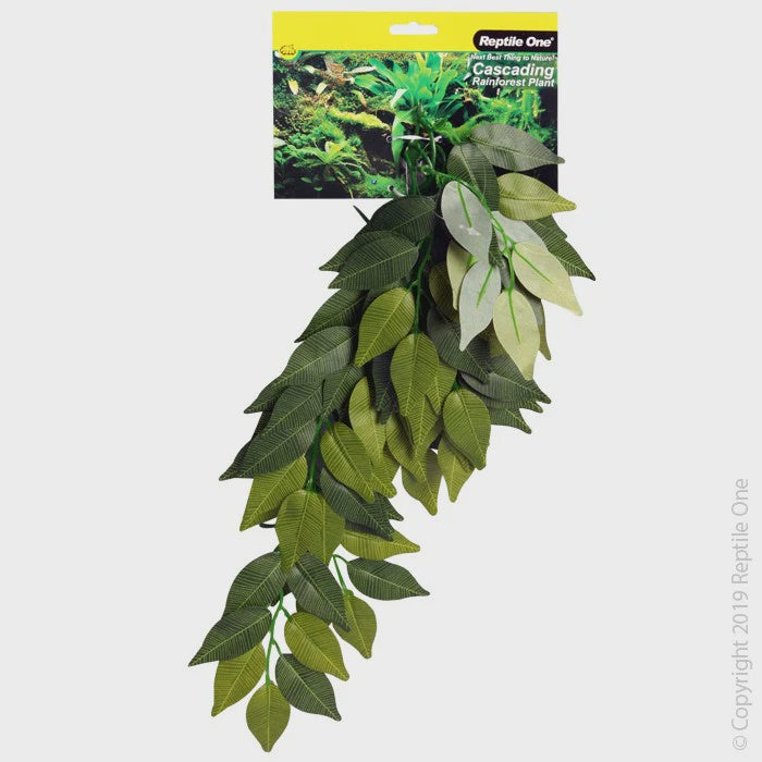 REPTILE ONE FOREST PLANT LARGE