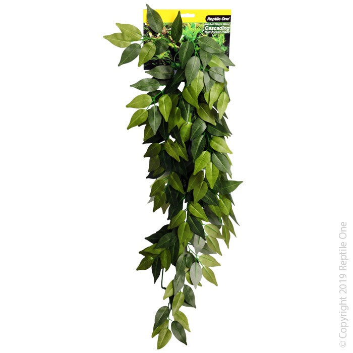 REPTILE ONE VARIGATED IVY CASCADING 72CM