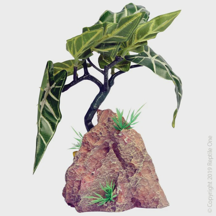 REPTILE ONE ALOCASIA W RESIN BASE