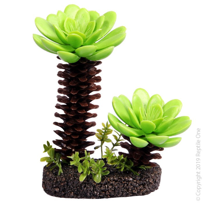 REPTILE ONE SUCCULENT TREE 