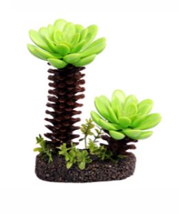 REPTILE ONE SUCCULENT TREE 