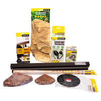 REPTILE ONE BEARDED DRAGON STARTER KIT