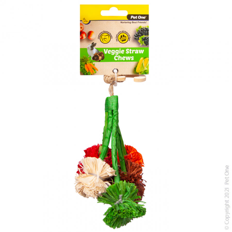 PET ONE VEGGIES STRAW CHEW BROCCOLI HANGING 14CM