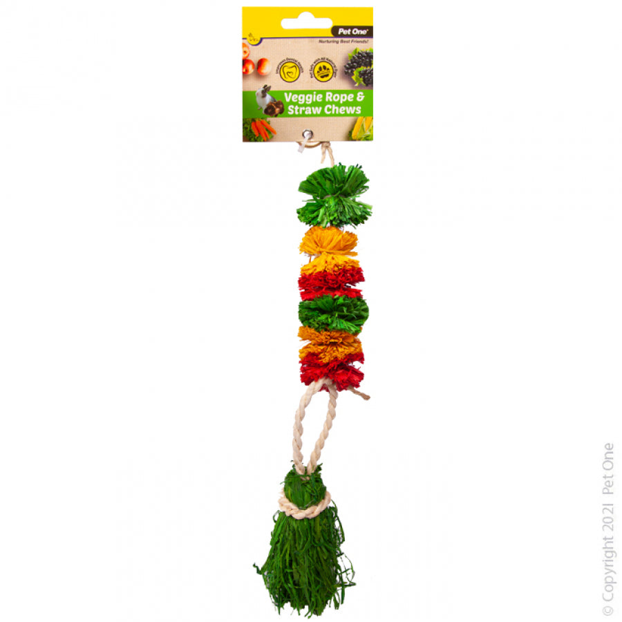 PET ONE VEGGIE ROPEAND STRAW CHEW HANGING POM POMS