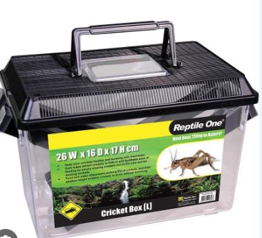 REPTILE ONE CRICKET BOX M