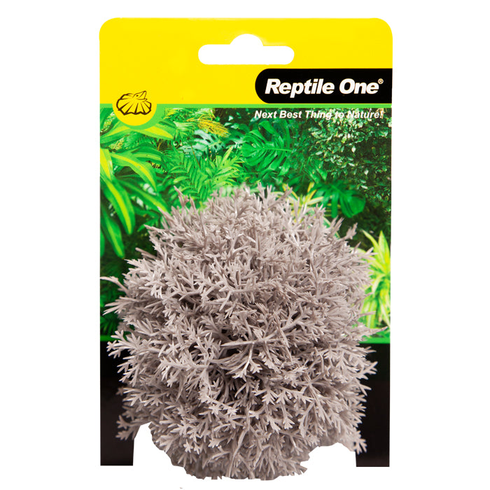 REPTILE ONE PLANT MINI SPHAGNALES GREY WITH CERAMIC