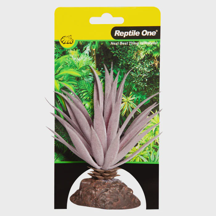 REPTILE ONE PLANT MINI IONANTHA RED WITH CERAMIC BASE