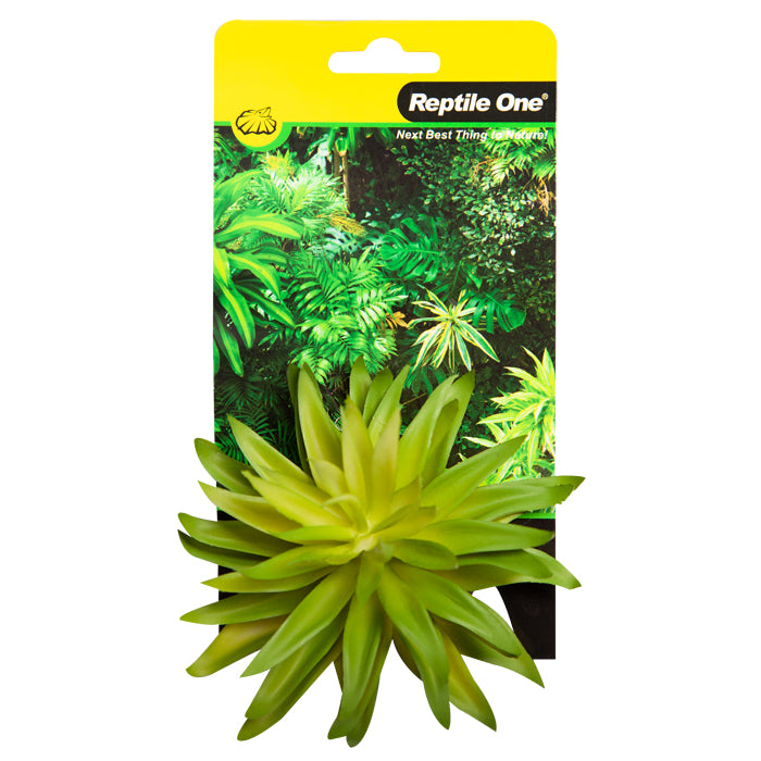 REPTILE ONE PLANT MINI CARPOBROTUS GREEN WITH CERAMIC BASE