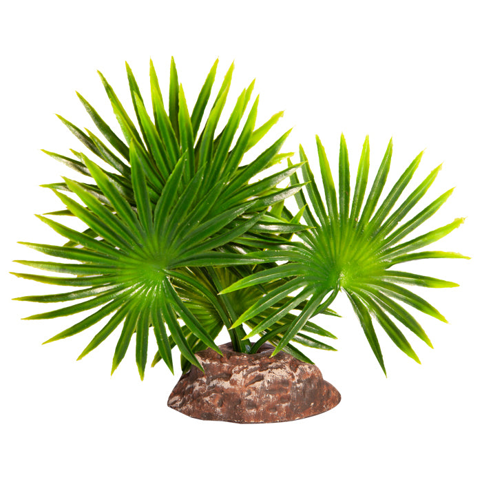 REPTILE ONE PLANT SM FAN PALM GREEN WITH CERAMIC BASE