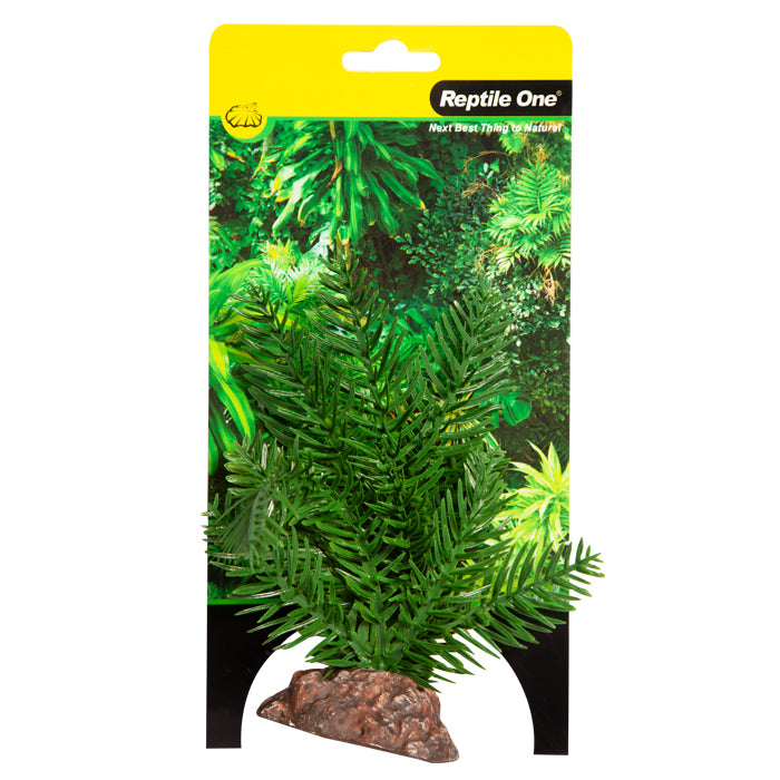 REPTILE ONE PLANT SM SAGO PALM GREEN WITH CERAMIC BASE