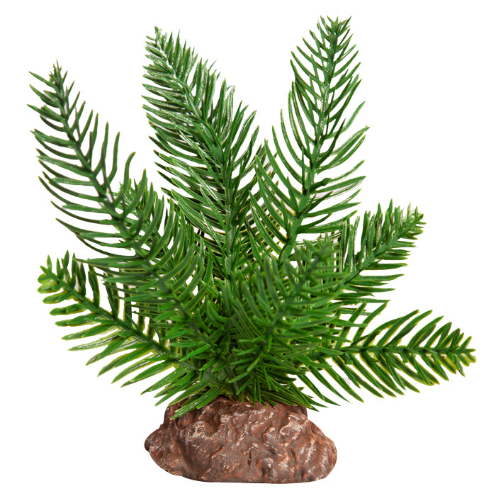 REPTILE ONE PLANT SM SAGO PALM GREEN WITH CERAMIC BASE