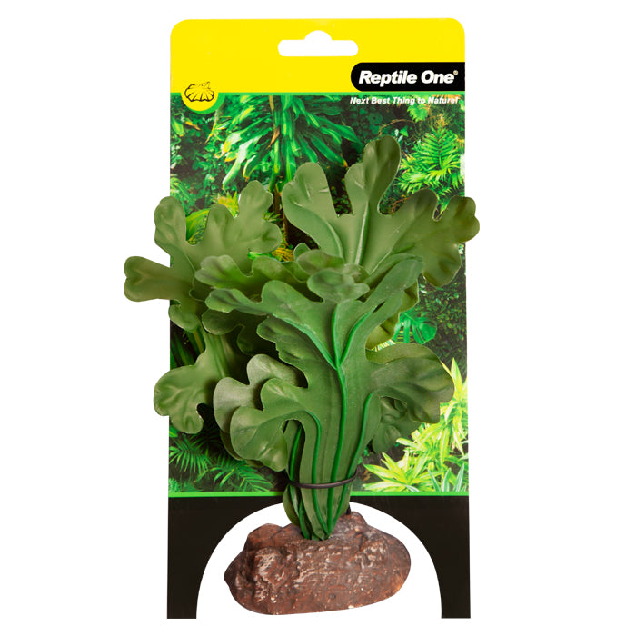 REPTILE ONE PLANT SM FISHBONE CACTUS GREEN WITH CERAMIC BASE