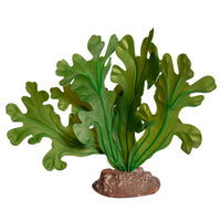 REPTILE ONE PLANT SM FISHBONE CACTUS GREEN WITH CERAMIC BASE