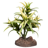 REPTILE ONE PLANT SM FLEXUOSA GREEN WITH CERAMIC BASE