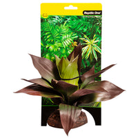 REPTILE ONE PLANT MD SPATHACEA GREEN RED WITH CERAMIC BASE