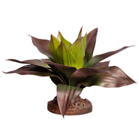 REPTILE ONE PLANT MD SPATHACEA GREEN RED WITH CERAMIC BASE