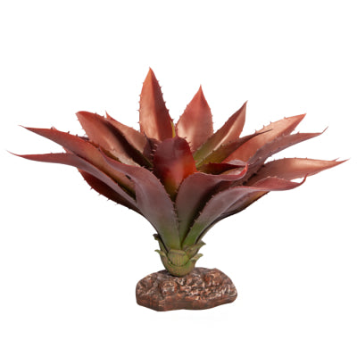 REPTILE ONE PLANT MD ALOE RED GREEN WITH CERAMIC BASE