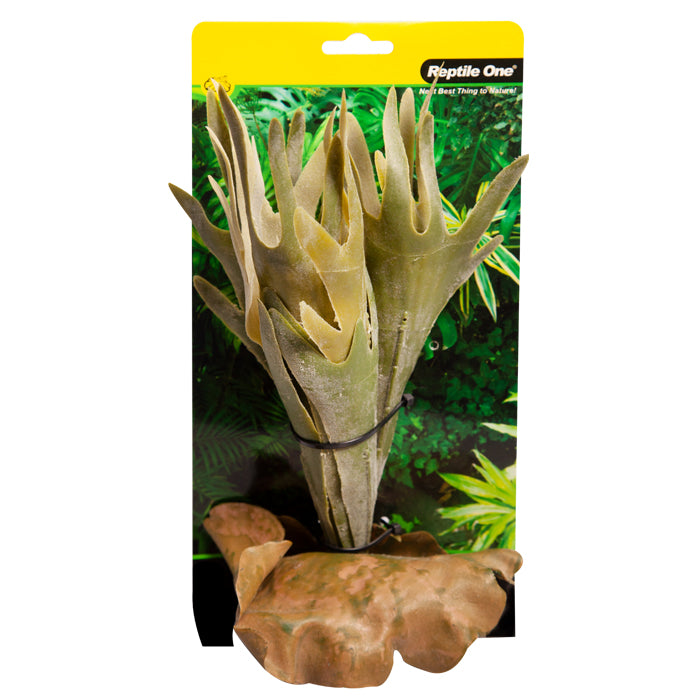 REPTILE ONE PLANT MD PLATYCERIUM GREEN WITH CERAMIC BASE