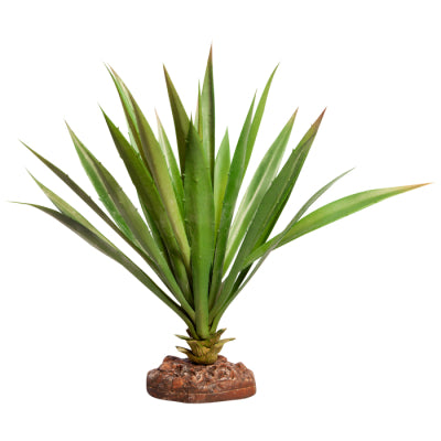 REPTILE ONE PLANT LG SUCCOTRINA GREEN WITH CERAMIC BASE