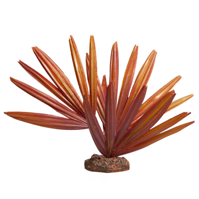 REPTILE ONE PLANT LG CHAMBEYRONIA RED WITH CERAMIC BASE